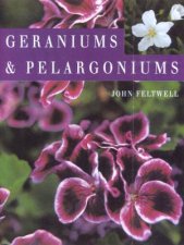 Geraniums And Pelargoniums