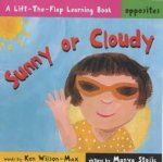 A Lift The Flap Learning Book Opposites Sunny Or Cloudy