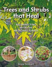 Trees and Shrubs That Heal Reconnecting With The Medicinal Forest