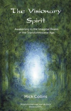 Visionary Spirit: Awakening to the Imaginal Realm in the Transformocene Age by MICK COLLIN