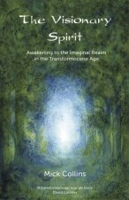 Visionary Spirit Awakening to the Imaginal Realm in the Transformocene Age