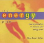 The Energy Plan StepByStep Strategies To Increase Your Energy Levels