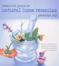 Essential Guide To Natural Home Remedies