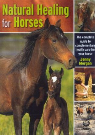 Natural Healing For Horses by Jenny Morgan