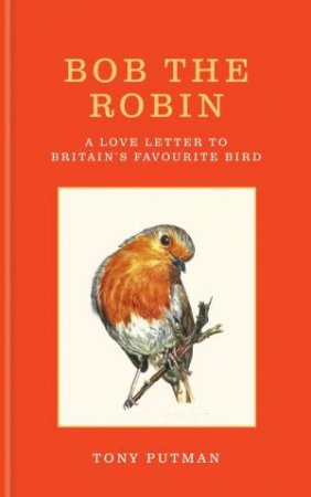 Bob the Robin by Tony Putman