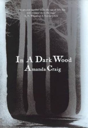In A Dark Wood by Amanda Craig
