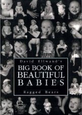 Big Book of Beautiful Babies