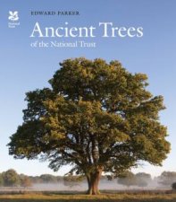 Ancient Trees Of The National Trust