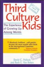 Third Culture Kids The Experience Of Growing Up Among Worlds