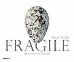 Fragile Birds Eggs And Habitats