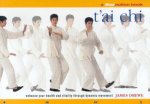 FlowMotion Tai Chi