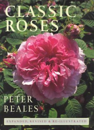 Classic Roses by Peter Beales