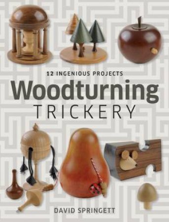 Woodturning Trickery by DAVID SPRINGETT