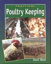Practical Poultry Keeping