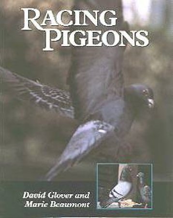 Racing Pigeons