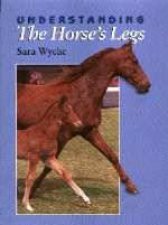 Understanding the Horses Legs