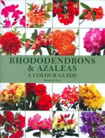 Rhododendrons & Azaleas: a Colour Guide by COX KENNETH