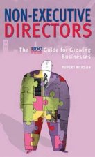 NonExecutive Directors A Guide For Small And Medium Size Enterprises