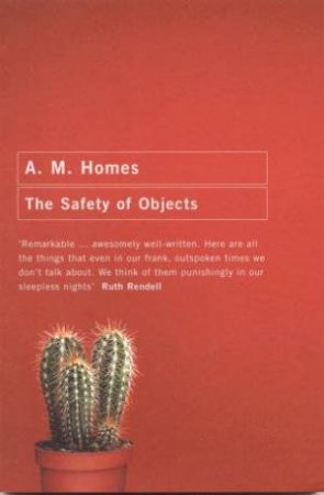 The Safety Of Objects by A M Homes