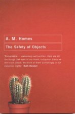 The Safety Of Objects