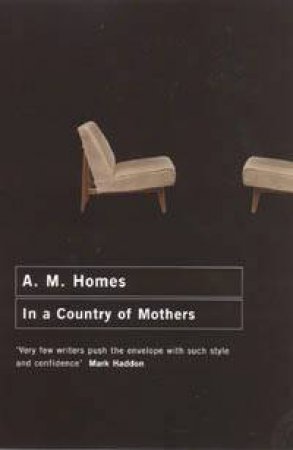 In A Country Of Mothers by A M Homes