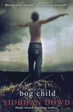 Bog Child by Siobhan Dowd