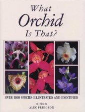What Orchid Is That