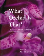 What Orchid Is That