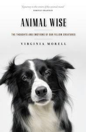 Animal Wise: The Thoughts and Emotions of Our Fellow Creatures by Virginia Morell