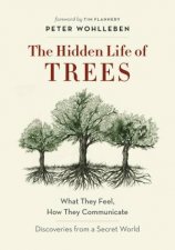 The Hidden Life Of Trees What They Feel How They Communicate  Discoveries From A Secret World