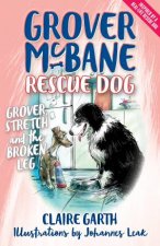 Grover McBane Rescue Dog Grover Stretch And The Broken Leg