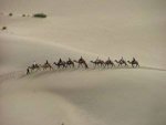 Women Of The Gobi