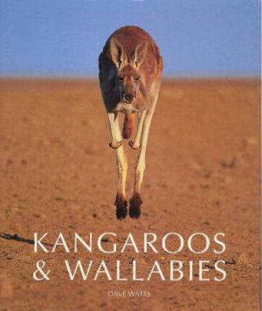 Kangaroos & Wallabies by Dave Watts