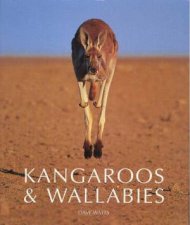 Kangaroos  Wallabies