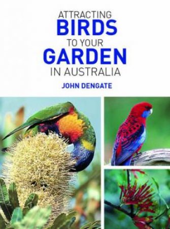 Attracting Birds To Your Garden In Australia by John Dengate