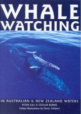 Whale Watching In Australian  New Zealand Waters