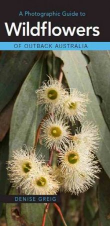 A Photographic Guide To Wildflowers Of Outback Australia by Denise Greig