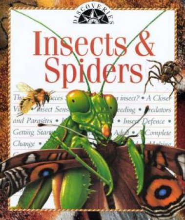 Discoveries: Insects And Spiders by George Else