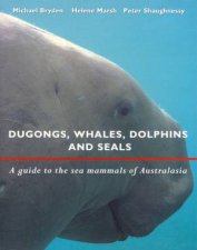 Dugongs Whales Dolphins  Seals