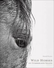 Wild Horses Of Cumberland Island