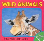 Animal Fun Wild Animals