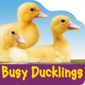 Busy Ducklings by Various