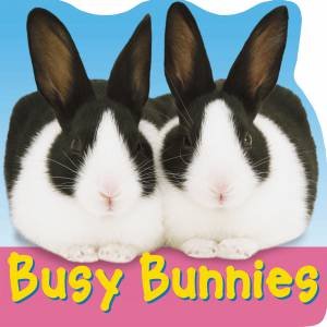 Busy Bunnies by Various