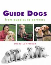 Guide Dogs From Puppies To Partners
