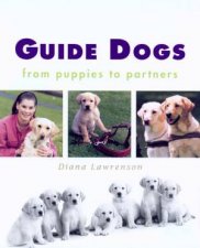 Guide Dogs From Puppies To Partners