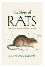 The Story Of Rats