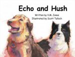 Echo And Hush