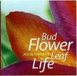 Bud Flower Leaf Life