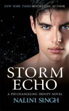 Storm Echo Book 6