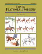 Solving Flatwork Problems Threshold Picture Guide 25